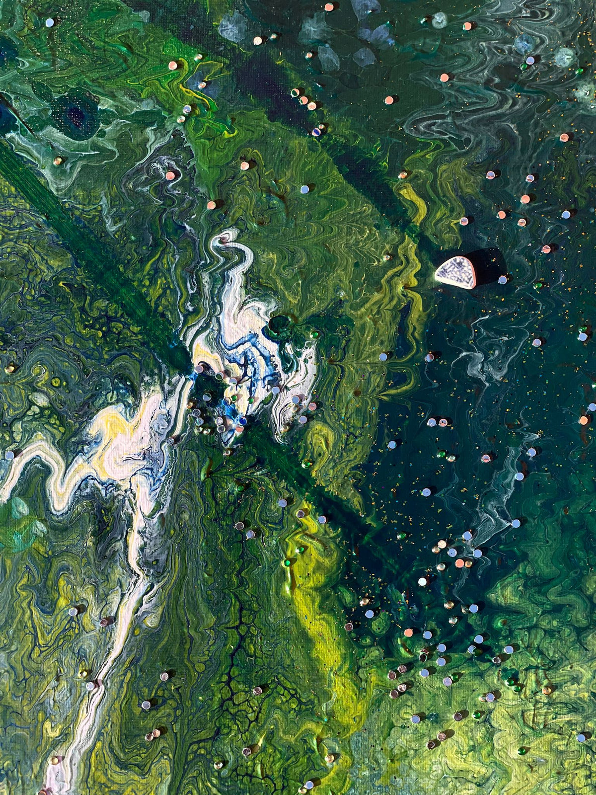 STARGAZING BIRDS